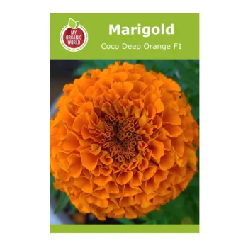 Marigold Coco Deep Orange F1 Seed