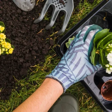 Organic Gardening in the GCC: Approach to Homegrown Goodness