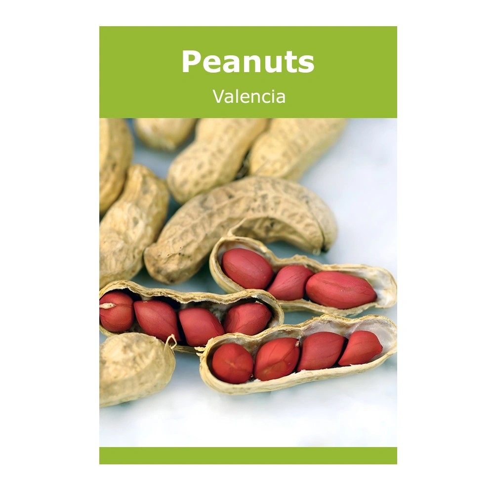 Peanuts Valencia 1 Peanuts Valencia