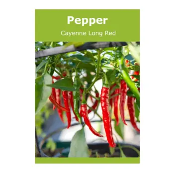 Pepper Cayenne Long Red