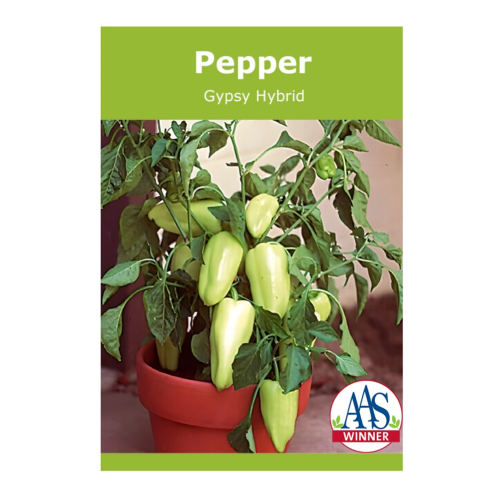 Pepper Gypsy Hybrid 1 Pepper Gypsy Hybrid