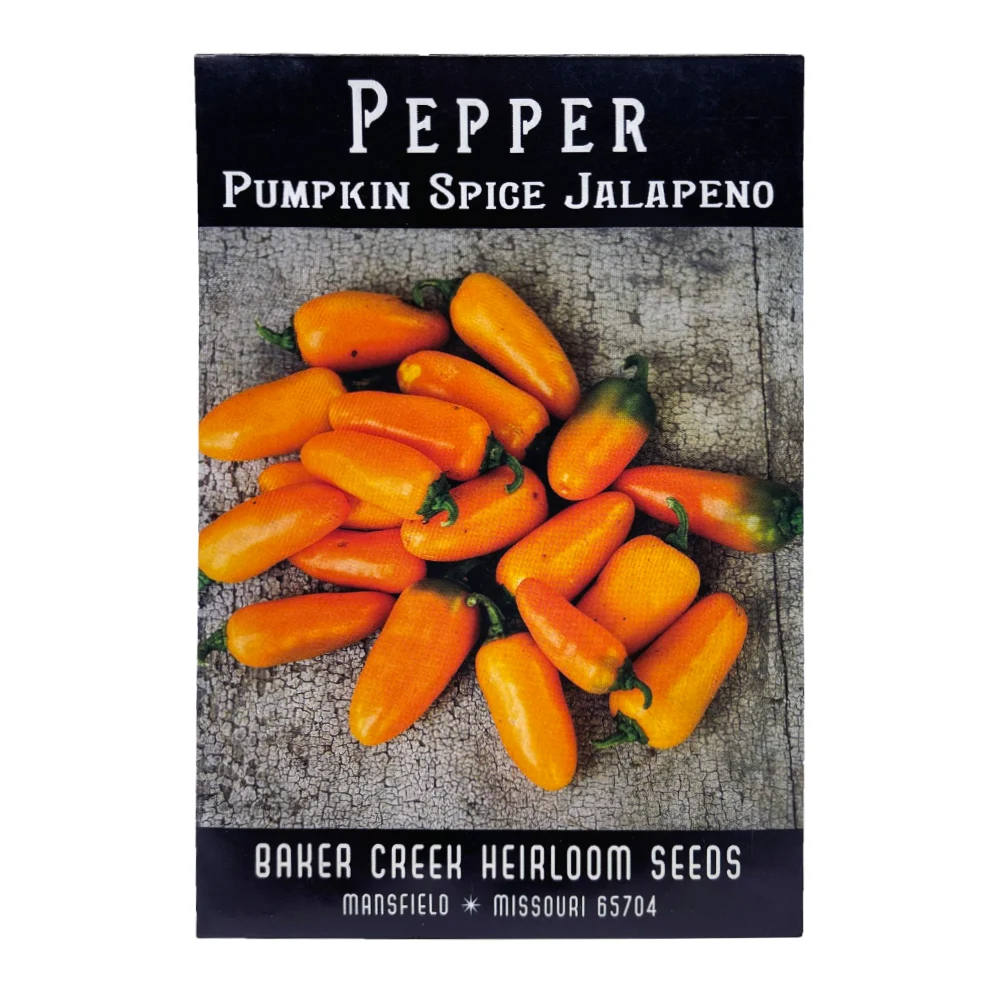 Pepper Jalapeno Pumpkin Spice 1 Pepper Jalapeno Pumpkin Spice