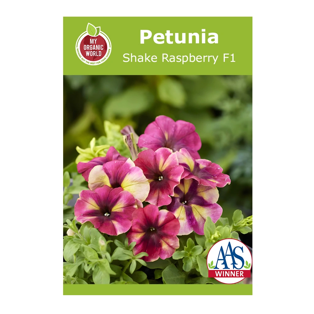 Petunia Shake Raspberry F1