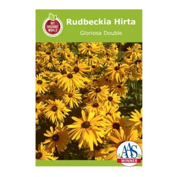 Rudbeckia Hirta Gloriosa Double