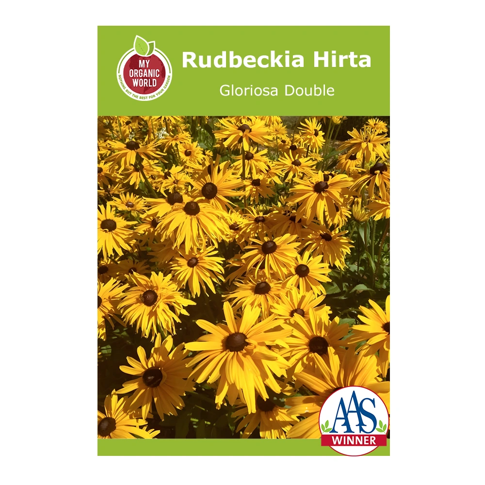 Rudbeckia Hirta Gloriosa Double