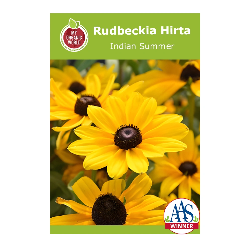 Rudbeckia Hirta Indian Summer