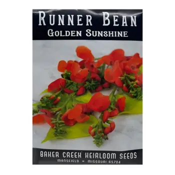 Runner Bean Golden Sunshine