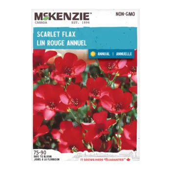 Scarlet Flax