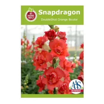 Snapdragon DoubleShot Orange Bicolor