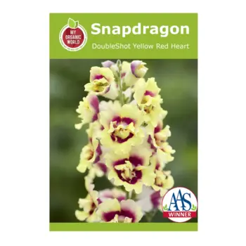 Snapdragon DoubleShot Yellow Red Heart