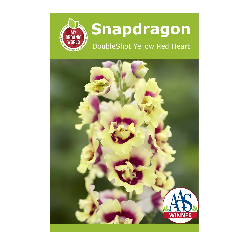 Snapdragon DoubleShot Yellow Red Heart