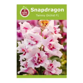Snapdragon Twinny Orchid F1