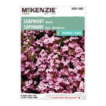 Soapwort Rock