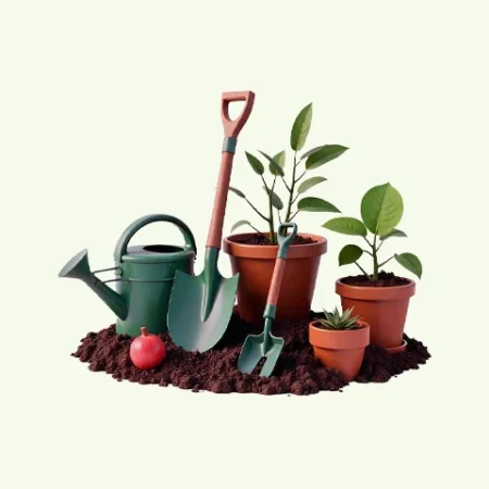 Tools & Supplies