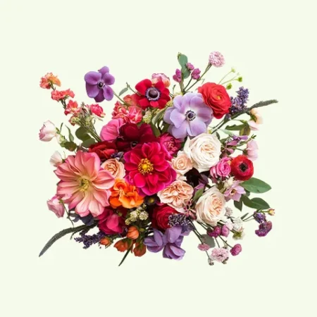 Flowers Seeds