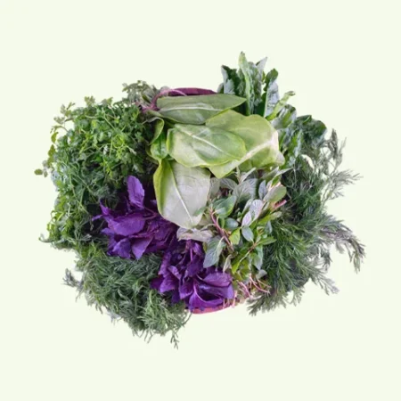 Herbs Seeds