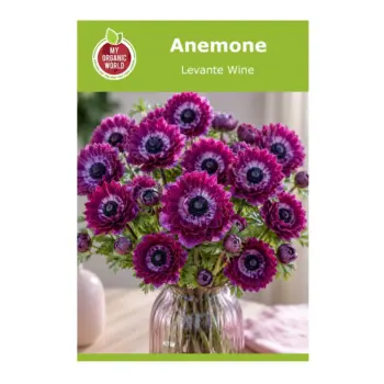 Anemone Levante Wine