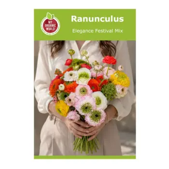 Ranunculus Elegance Festival Mix