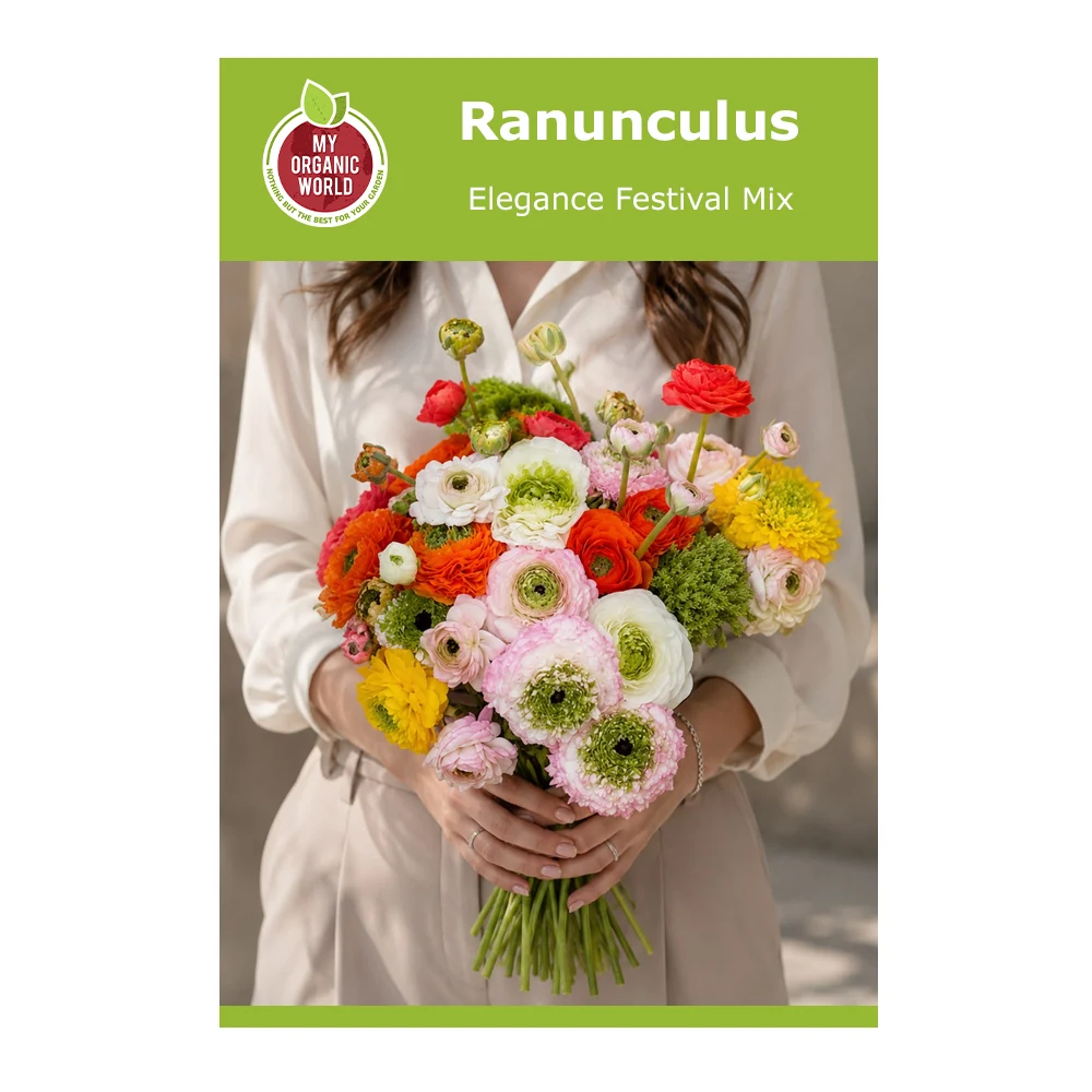Ranunculus Elegance Festival Mix