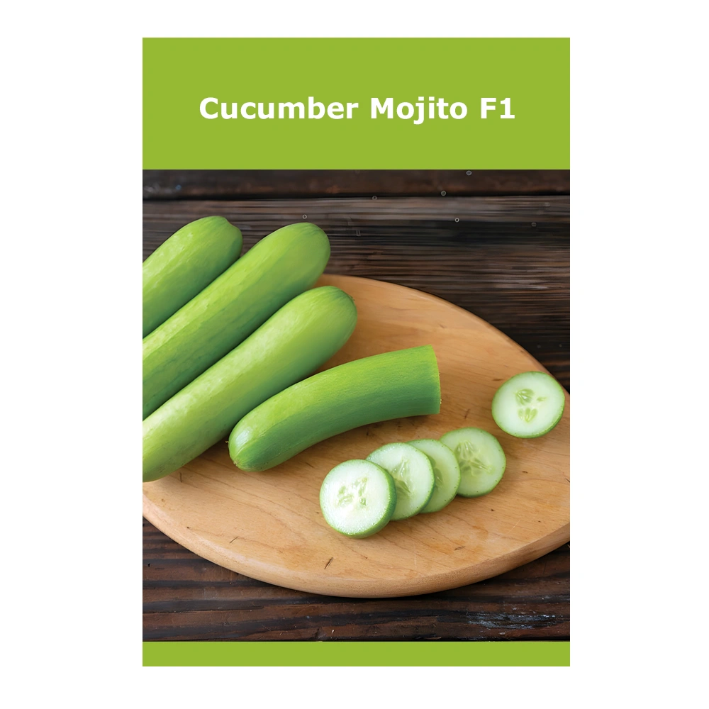 خيار Mojito F1 1 خيار Mojito F1