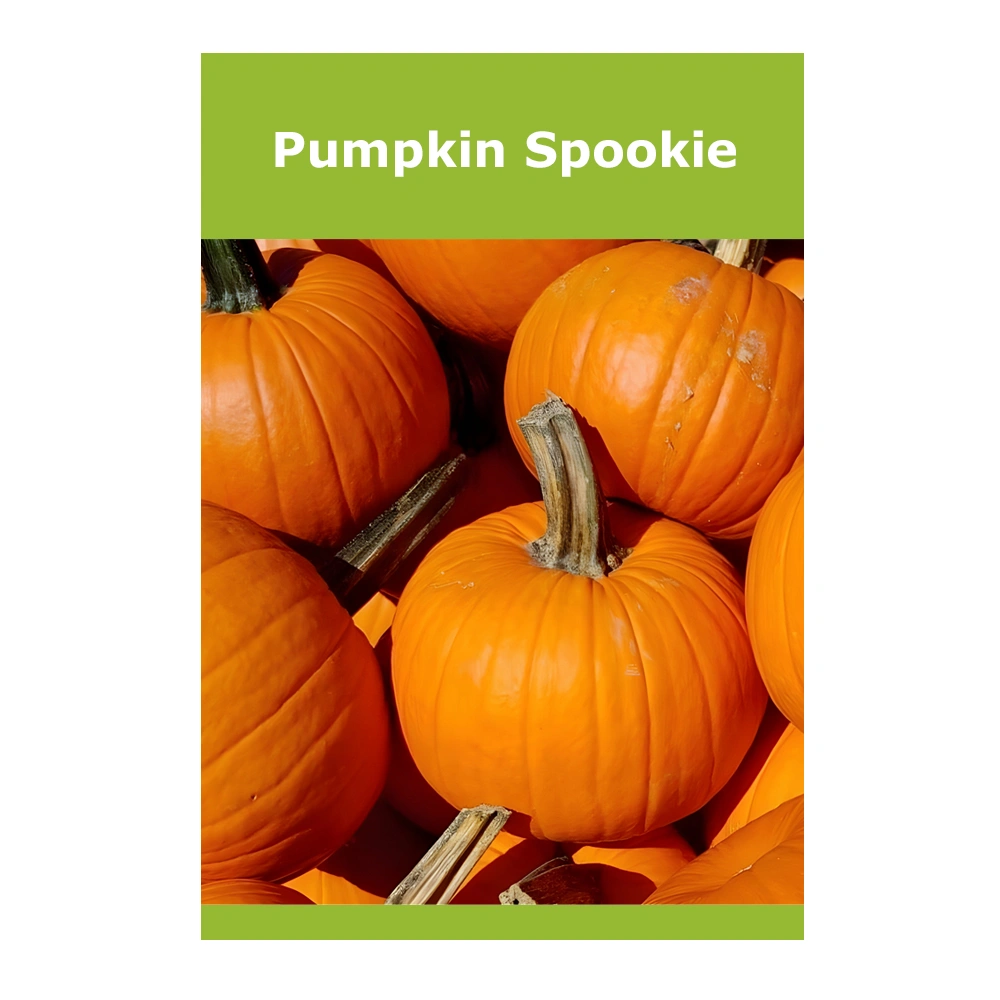 قرع Spookie 1 قرع Spookie
