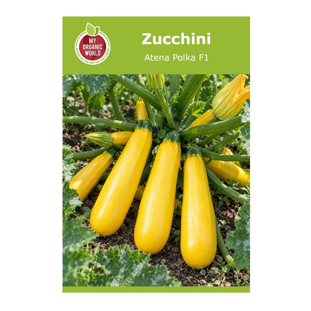 Zucchini Atena Polka F1