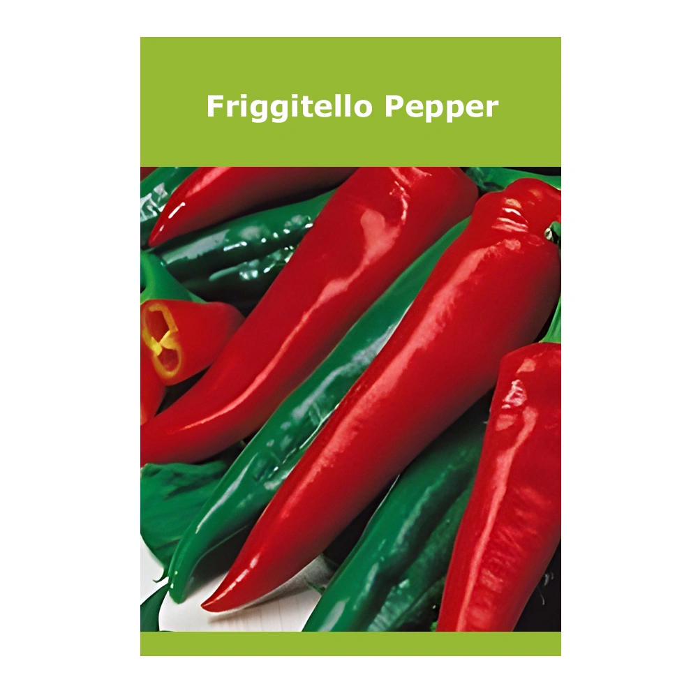 Friggitello Pepper