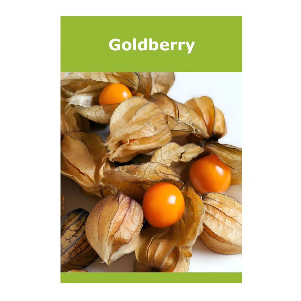 Goldberry