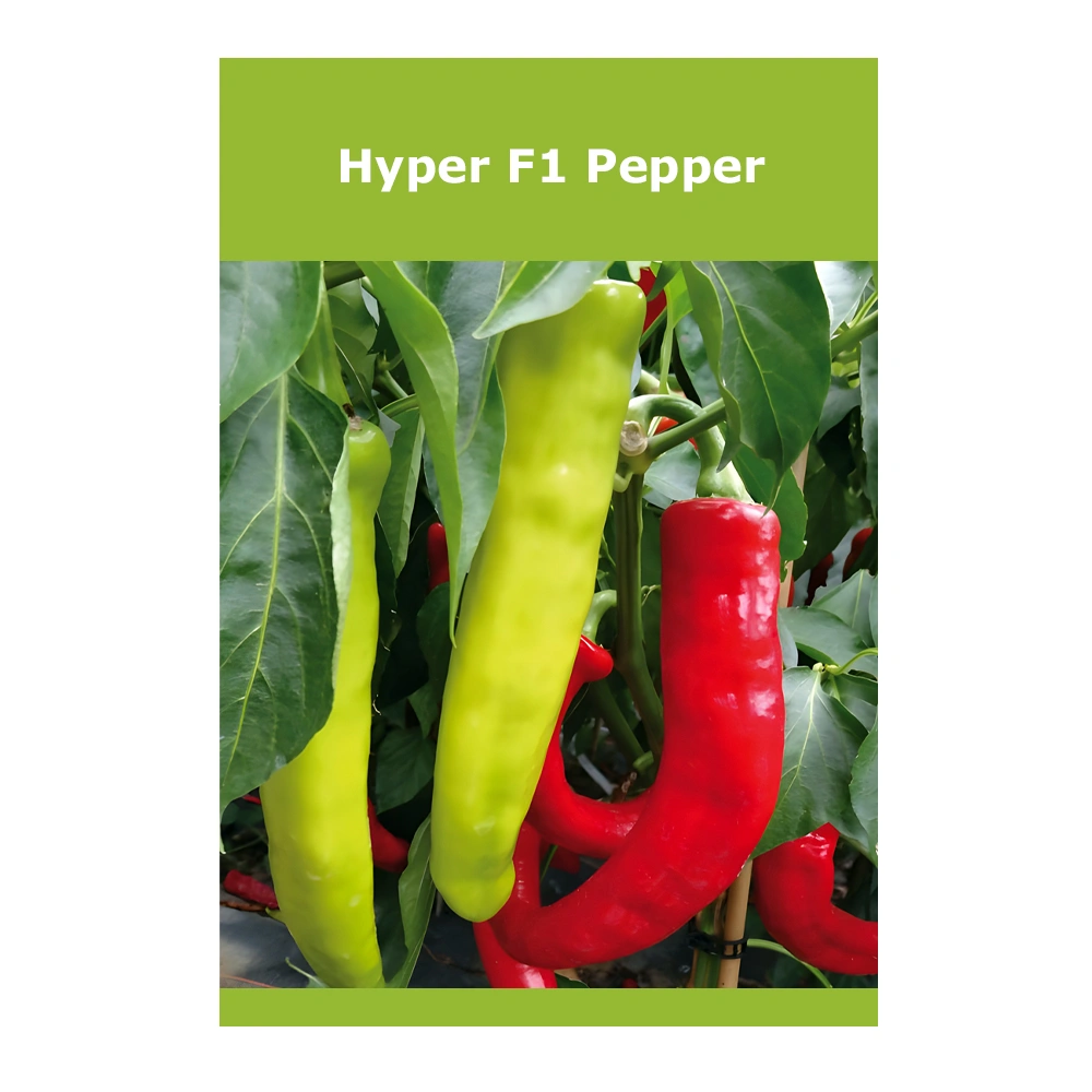 Hyper F1 Pepper Hyper F1 Pepper