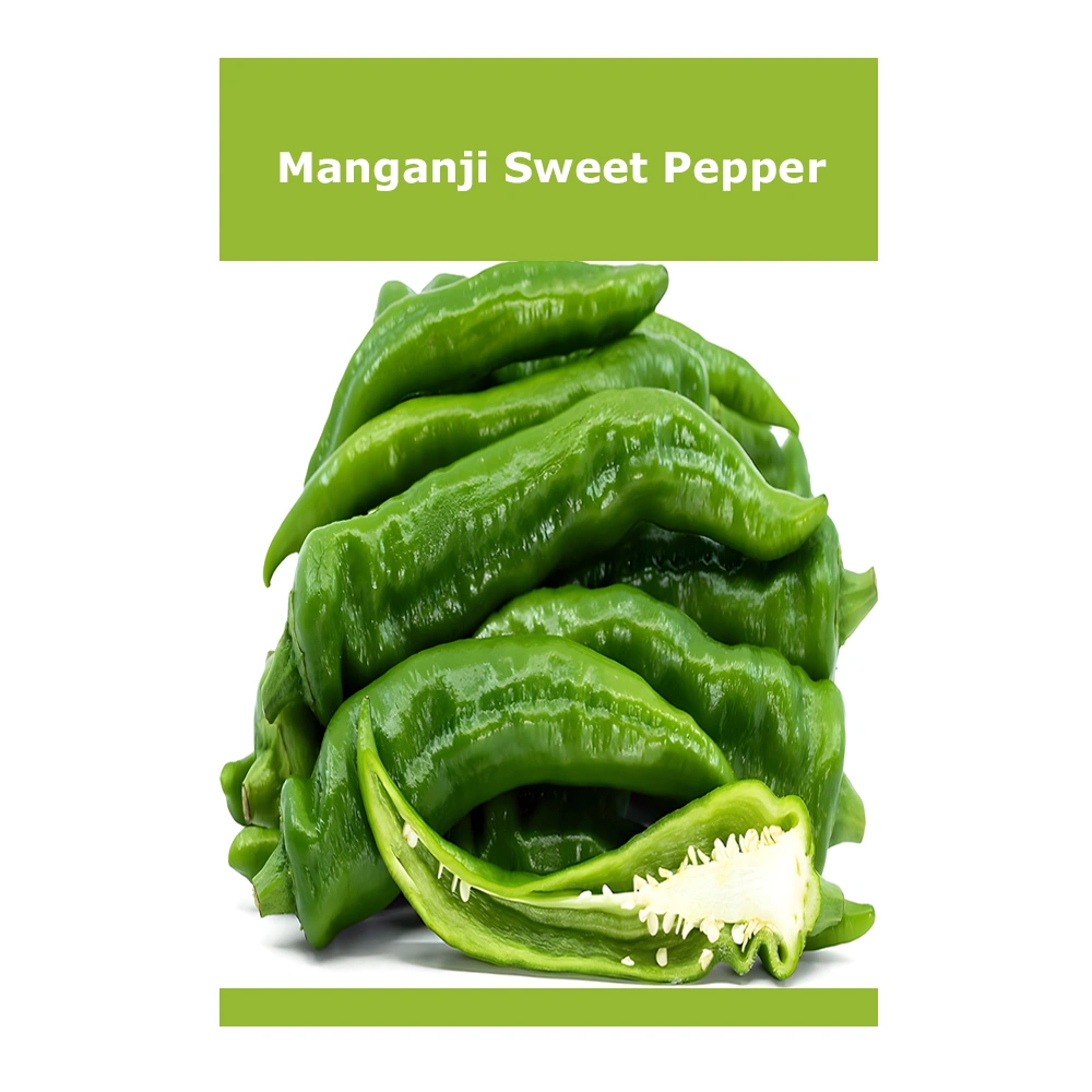 Manganji Sweet Pepper Manganji Sweet Pepper