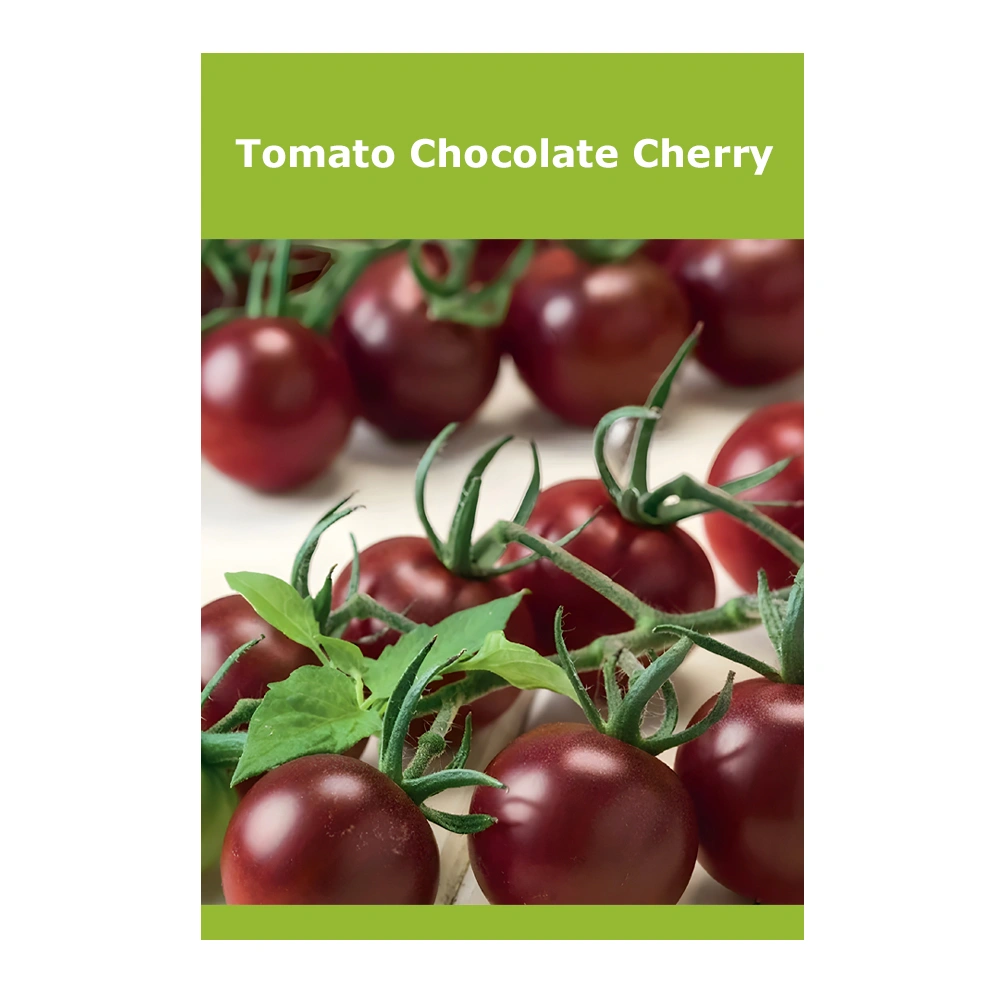 Tomato Chocolate Cherry