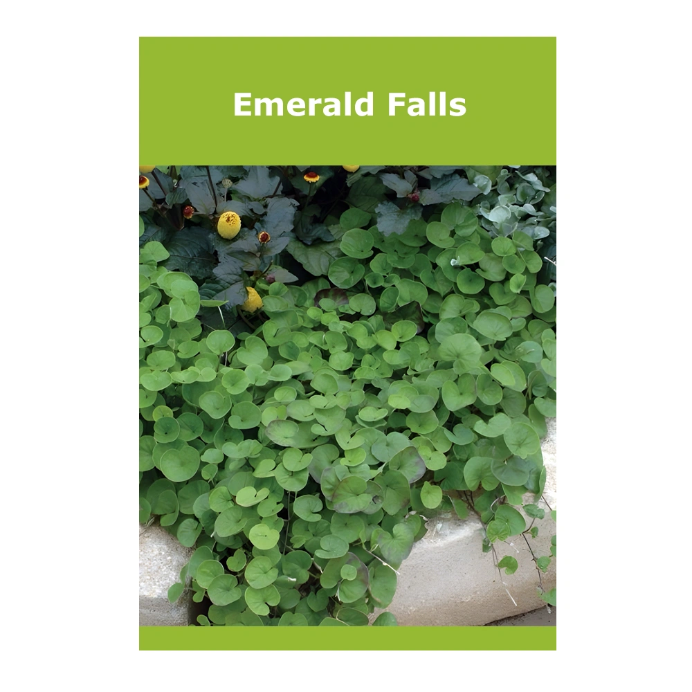 Emerald Falls 1 Emerald Falls