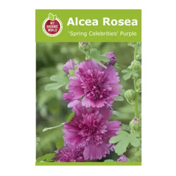 Alcea rosea Spring Celebrities Purple Seeds