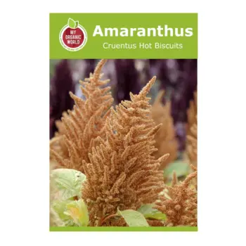 Amaranthus Cruentus Hot Biscuits Seeds