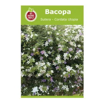 بذور Bacopa Sutera Cordata Utopia