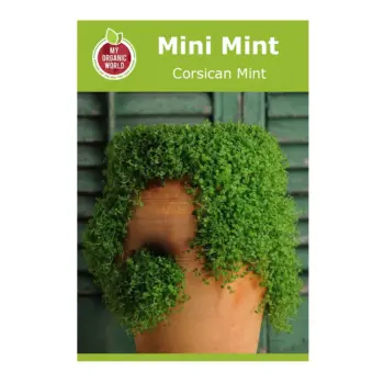 Mini Mint Corsican Mint seeds