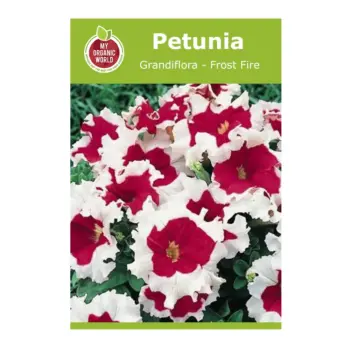 Petunia Grandiflora Frost Fire Seeds
