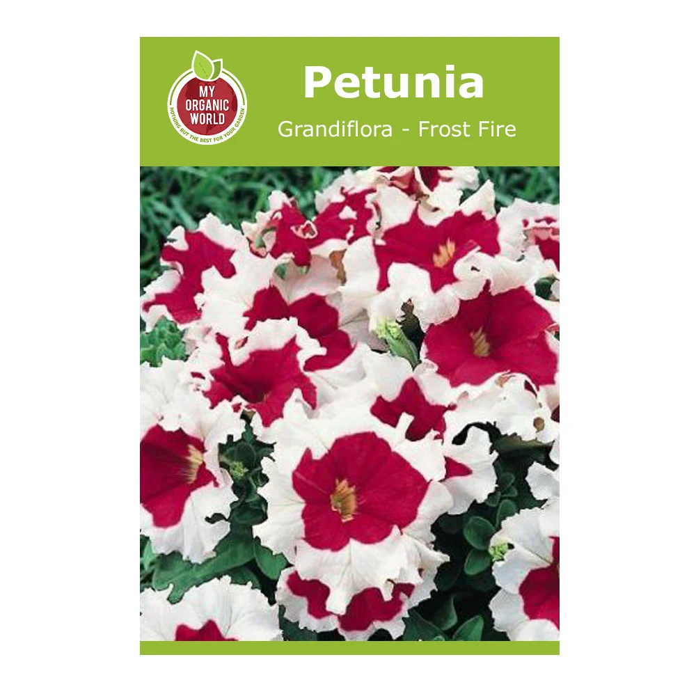 Petunia Grandiflora Frost Fire