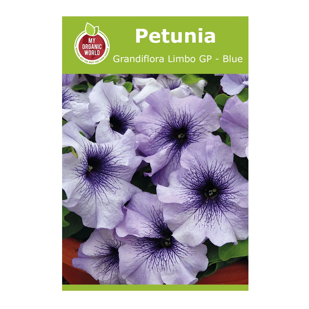 Petunia grandiflora Limbo GP Blue Veined 1 Petunia Grandiflora Limbo GP Blue