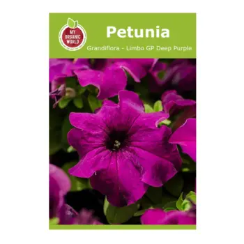 Petunia Grandiflora Limbo GP Deep Purple Seeds