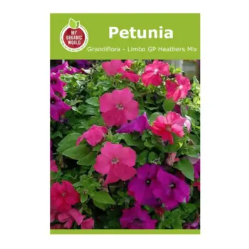 Petunia Grandiflora Limbo GP Heathers Mix Seeds