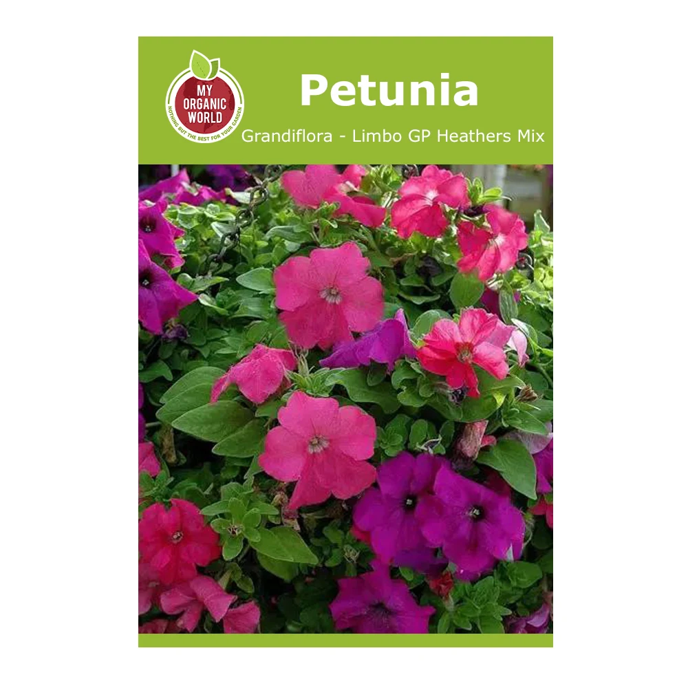 Petunia Grandiflora Limbo GP Heathers Mix