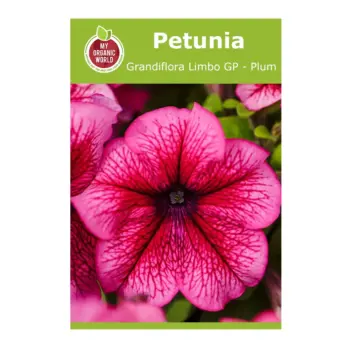 Petunia Grandiflora Limbo GP Plum Seed