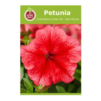 Petunia Grandiflora Limbo GP Red Veined Seeds