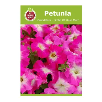 Petunia Grandiflora Limbo GP Rose Morn seeds