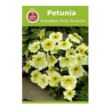 Petunia Grandiflora Prism Sunshine Seeds