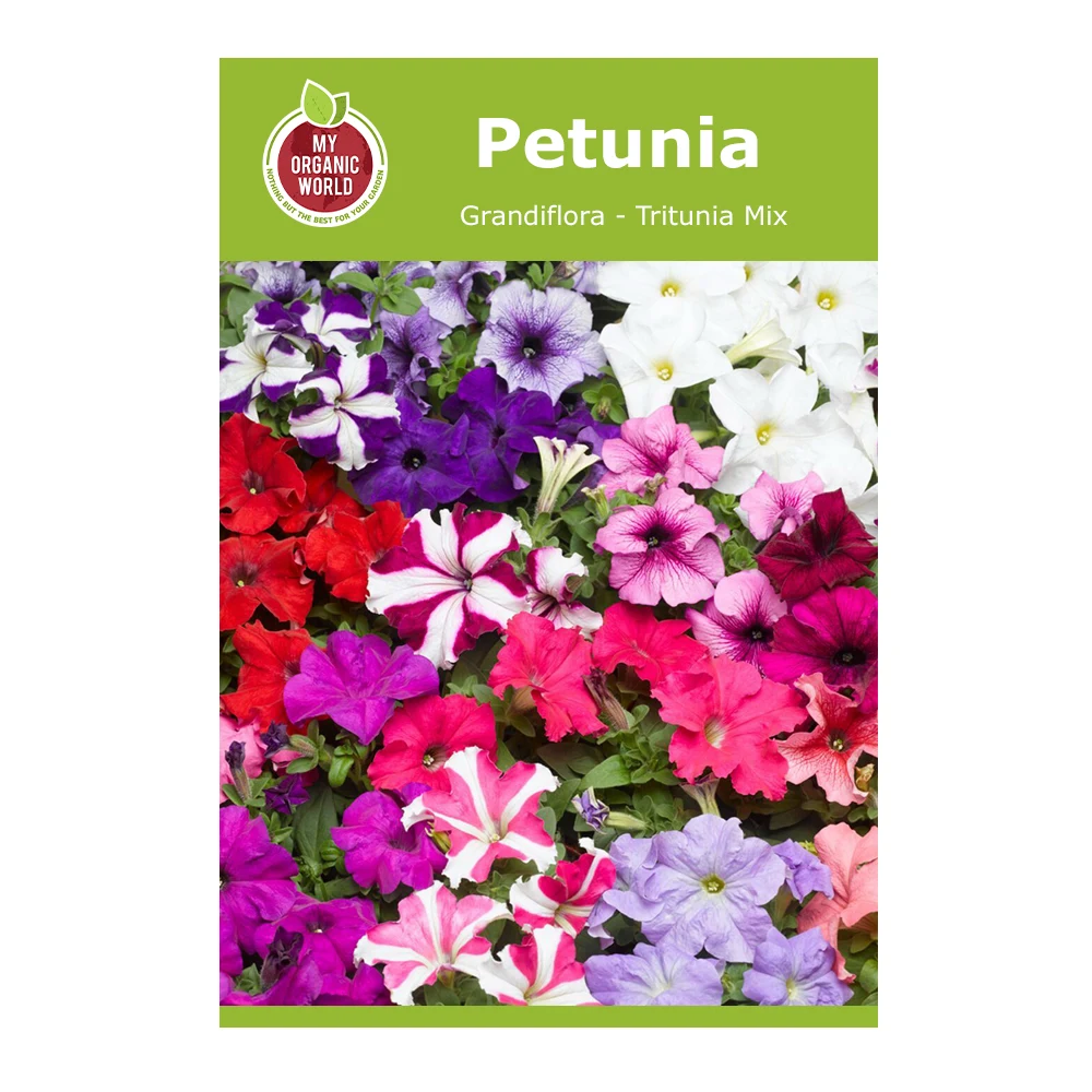 Petunia Grandiflora Tritunia Mix