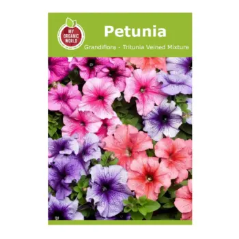 Petunia Grandiflora Tritunia Veined Mixture Seeds