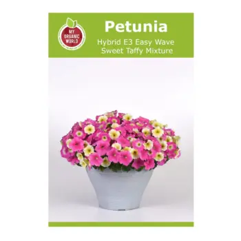 Petunia Hybrid E3 Easy Wave Sweet Taffy Mixture Seeds