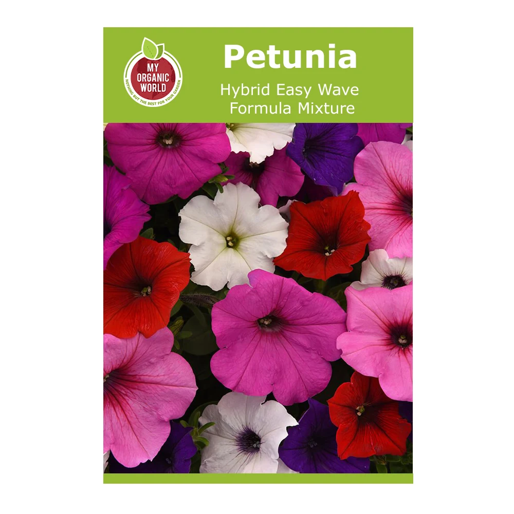 Petunia Hybrid Easy Wave Formula Mixture 1 Petunia Hybrid Easy Wave Formula Mixture
